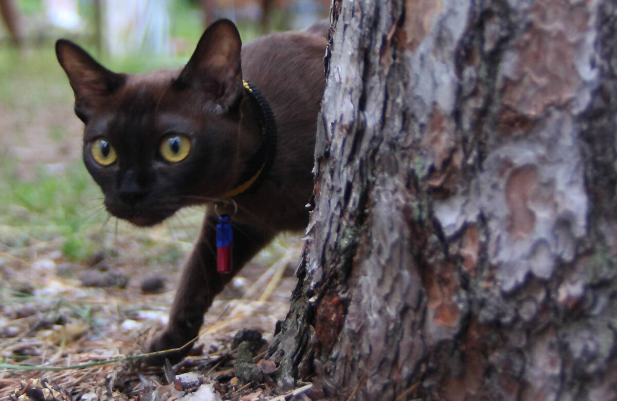 «Случайностей у Бога не бывает никогда»: батюшка о знаках, которые нам даются свыше