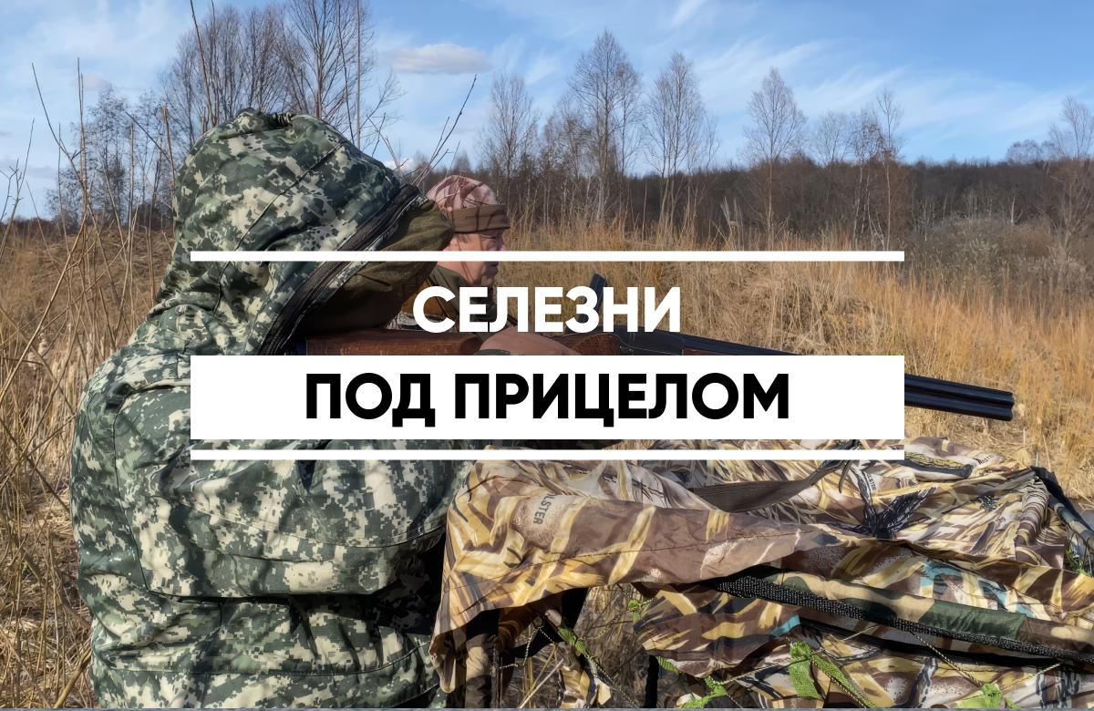 В Татарстане открывается охота на селезней