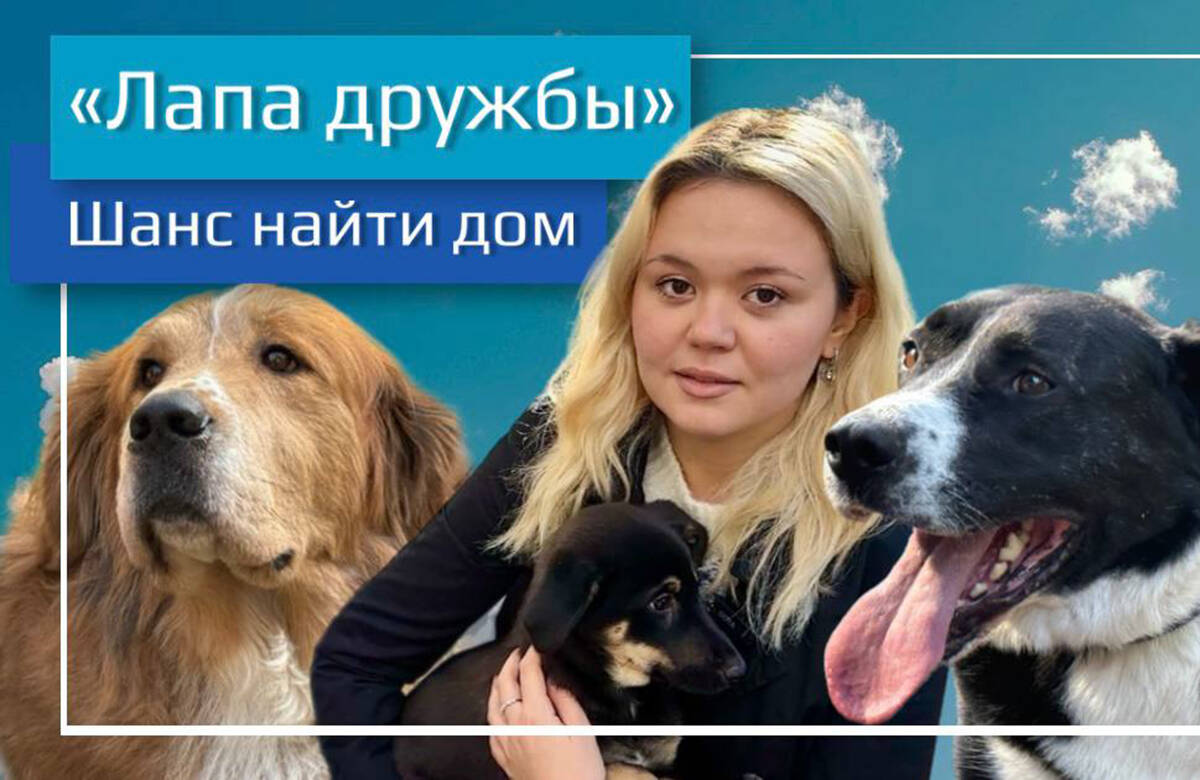 «Когда забирают собак, хочется плакать от счастья!»