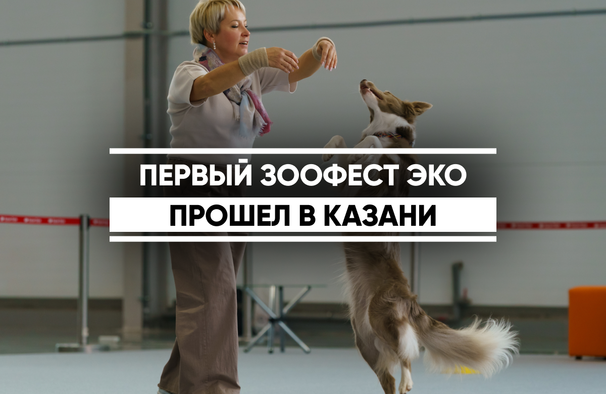 Первый Зоофест Эко прошел в Казани