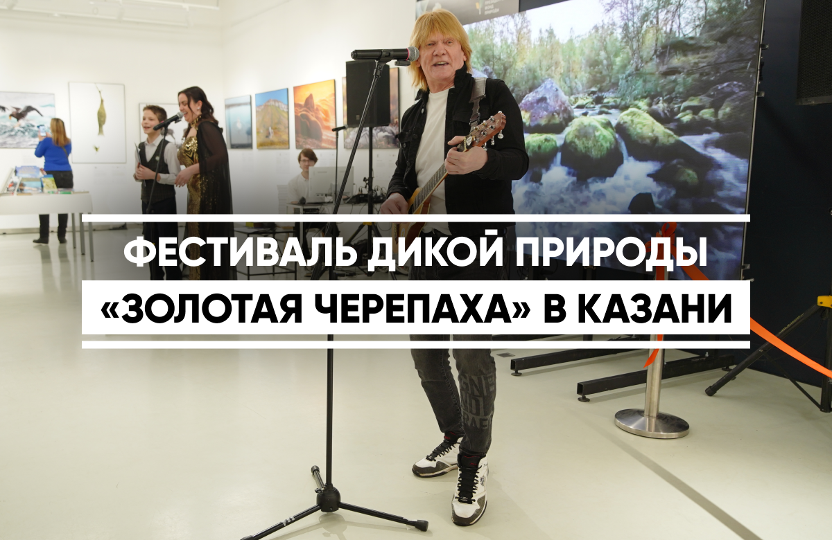 Международный фестиваль дикой природы «Золотая черепаха» открылся сегодня в Национальной библиотеке Татарстана в Казани. На выставке представлено более 120 работ финалистов конкурса дикой природы, включая специальную коллекцию фотографий «Заповедной России».