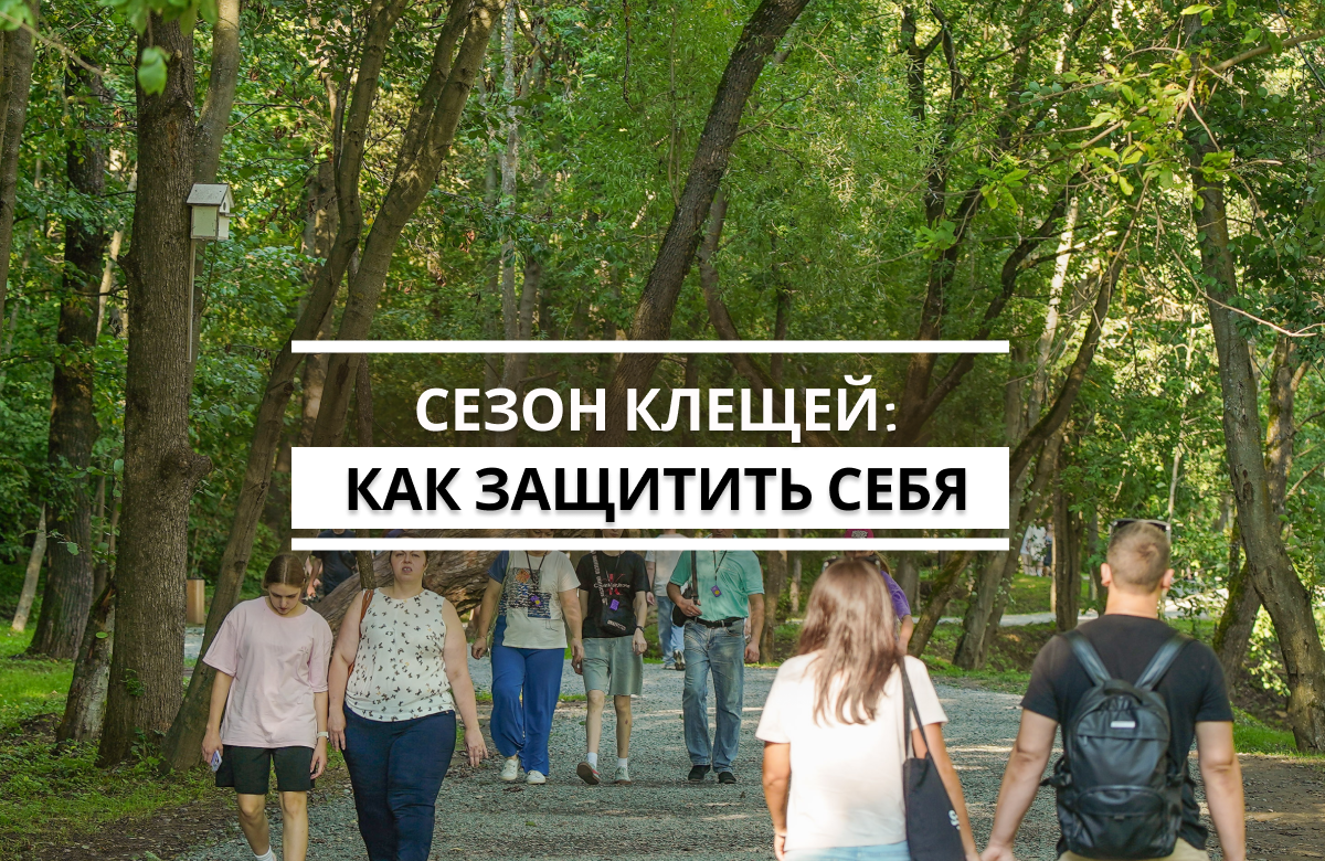 В этом году Татарстан находится в зоне повышенного риска заражения клещевым энцефалитом. Как защищаются от клещей казанцы, как защищают своих питомцев и что надо делать при укусе клеща – в нашем ролике.