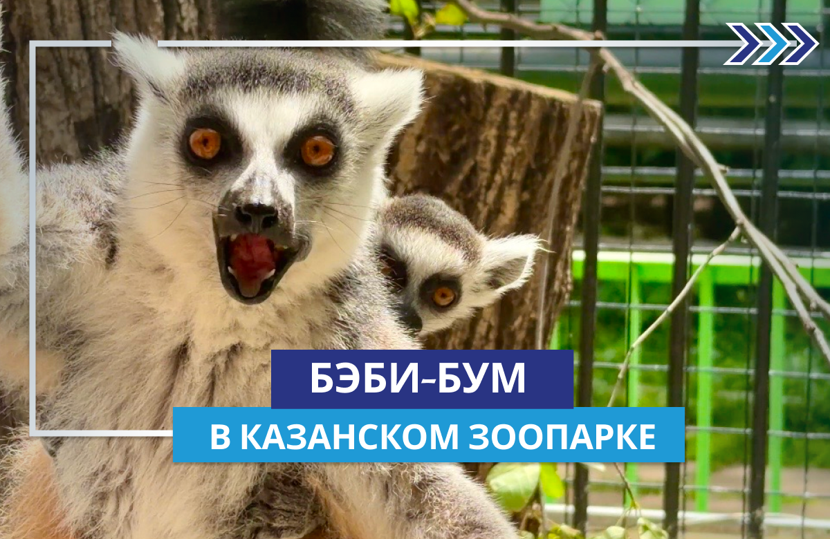 В Казанском зоопарке настоящий бэби-бум