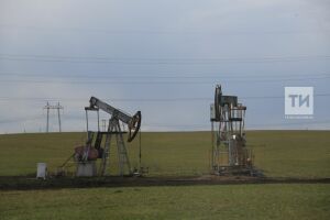 «Татнефть» надеется с помощью Путина отменить экоэкспертизу для нефтедобытчиков