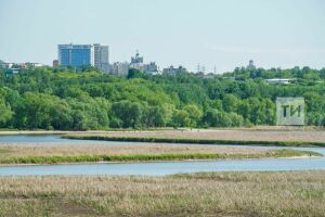 Воплощение анонсированной во время World Urban Parks стратегии развития Казанки потребует 10–15 лет