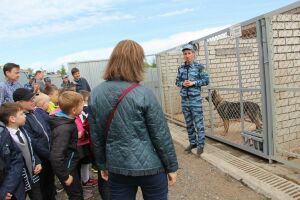 Сотрудники УФСИН показали казанским школьникам, как служебные собаки ищут наркотики и взрывчатку