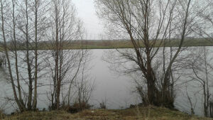 На реке Тарса в Аксубаевском районе РТ полицейские поймали браконьера с поличным