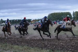 В Татарстане пройдут конноспортивные соревнования, посвященные «Дню Коня»