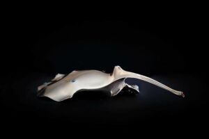 В галерее «Хазинэ» откроется выставка «Аю бала» о хтонических гигантах и мифических животных