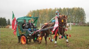 Скачки лошадей татарской породы станут изюминкой соревнований на «Дне коня» в Арском районе