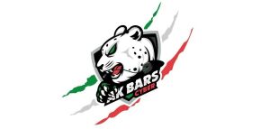 ХК «Ак Барс» объявил о создании киберспортивной команды