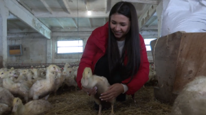 Фермерам Высокогорского района рассказали о мерах профилактики птичьего гриппа