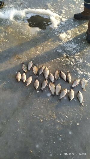 Полицейские поймали браконьера из Казани, ловившего рыбу сетью в проруби