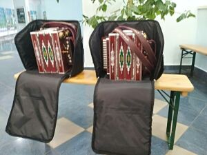 Два сельских дома культуры Мамадышского района получили новые музыкальные инструменты