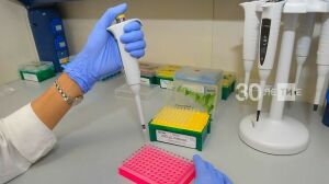 Лаборатории Татарстана могут проводить свыше 3 тыс. тестов на коронавирус в сутки