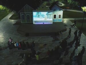 В Нижнекамске завершился летний фестиваль уличного кино «Крыша»
