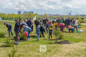 Казанцы посадили деревья в память о погибших на Великой Отечественной воинах