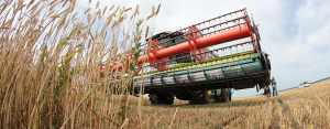 «Чтобы получить 5 млн тонн, все сделано»: урожай зерна в Татарстане зависит от погоды