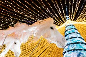 Главная новогодняя елка столицы Татарстана зажглась 23 декабря у Центра семьи «Казан». Площадка стала местом притяжения для сотен горожан – здесь удалось создать по-настоящему уютную новогоднюю атмосферу.