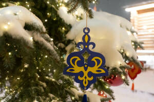 Фотографы «Татар-информа» показывают места столицы Татарстана, где можно зарядиться новогодним настроением и сделать красивые фото и видео с атмосферой самого волшебного праздника в году. В объективе Салавата Камалетдинова — территория комплекса «Туган авылым», площадь перед театром кукол «Экият» и парк Горького.