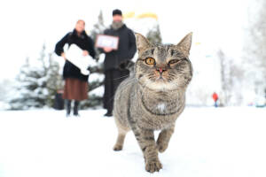 Раифский монастырь готовится к празднику Крещения Господня