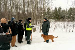 Казанский территориальный отдел ветеринарной безопасности и государственного надзора Главного управления ветеринарии Кабинета Министров РТ провел рейд по соблюдению требований к содержанию домашних животных.