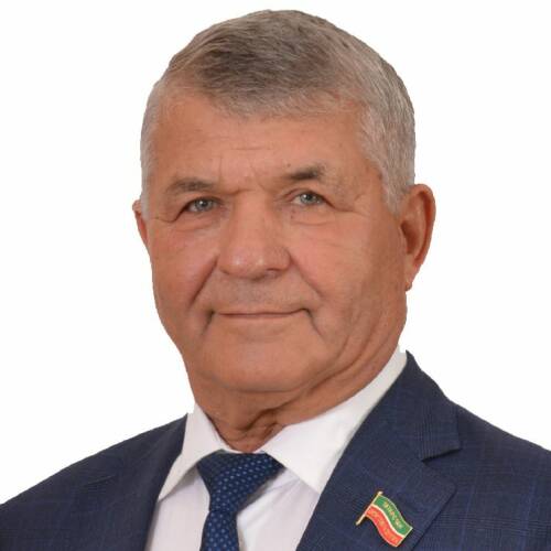Депутат Госсовета РТ VII созыва