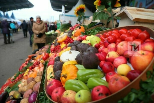 Минсельхозпрод РТ: Картофеля и овощей хватит даже для реализации на весенних ярмарках