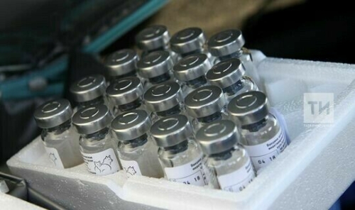 Вакцина «КовиВак» временно не будет поступать в Татарстан