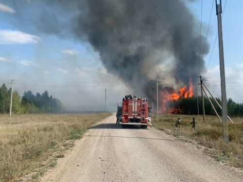 На границе Лениногорского и Альметьевского районов сгорели 5,5 тысячи кв. метров леса