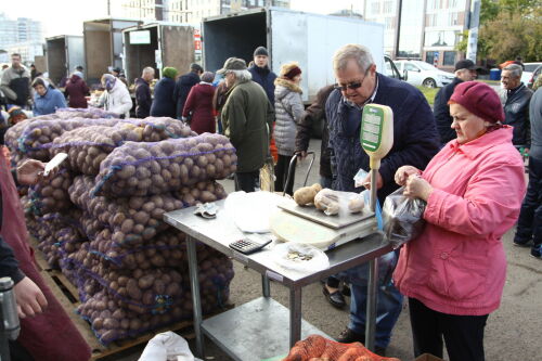 В Татарстане планируют регулировать цены на картофель и овощи за счет сельхозярмарок