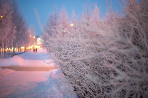 В Татарстане ожидаются метели с ухудшением видимости и сильный снег