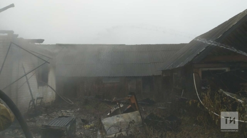 На пожаре в селе в Кукморском районе РТ погиб мужчина