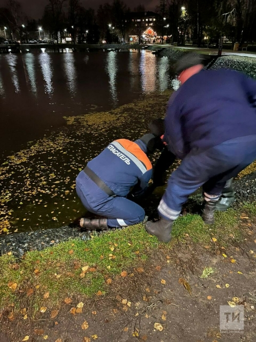 В пруду парка Урицкого в Казани утонула женщина