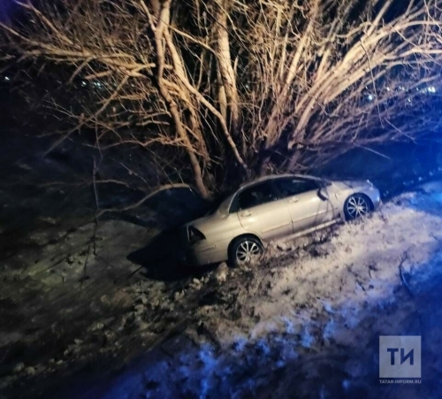 В Татарстане легковушка улетела в кювет и врезалась в дерево, водитель в больнице