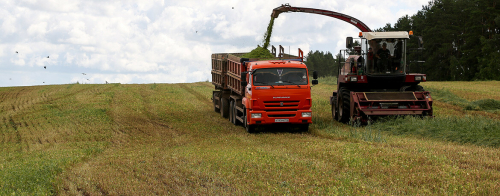 «Можем выйти на крупные объемы»: в Татарстане предложили выращивать промышленную коноплю