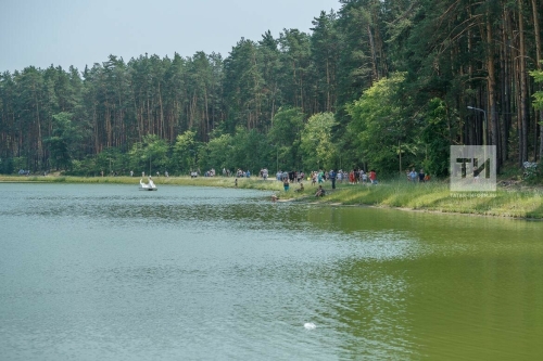 На озере Лебяжьем в Казани пройдет первый гастрофестиваль