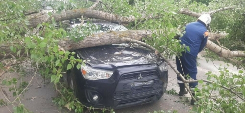 Сильный ветер в Казани повалил дерево на едущий автомобиль