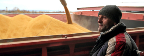 Потоки зерна потекут в Свияжск: в Татарстане построят мегаэлеватор за 2,4 млрд рублей