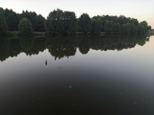 Из реки в Заинском районе РТ очевидцы вытащили тело утонувшего мужчины