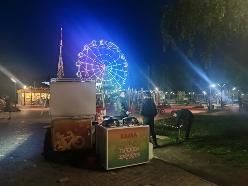 Прокуратура РТ начала проверку после того, как ребенок получил ожоги в луже в парке