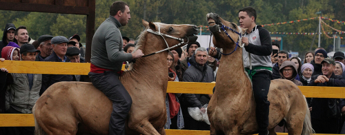 «Кумысмен» и «Сельский снайпер»: как Минниханов и Николаев отметили «День коня»