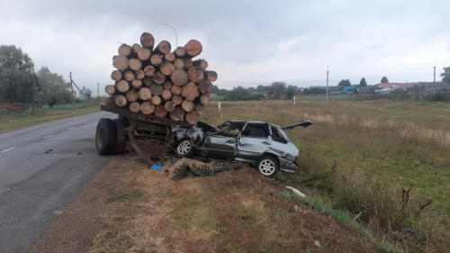 Под Челнами водитель «Лады» погиб, влетев в грузовик с бревнами