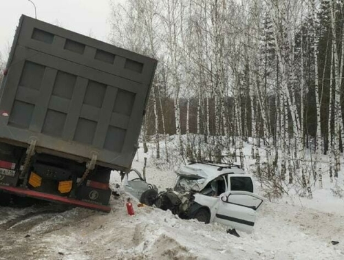 В Татарстане легковушка протаранила грузовик, водитель госпитализирован