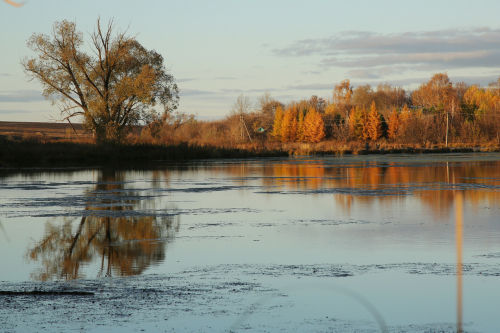 Гидрометцентр РТ: Середина октября в Татарстане будет на два градуса выше нормы
