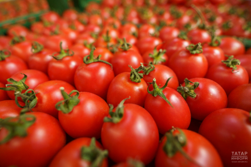 В Татарстане за неделю на 18% подорожали помидоры