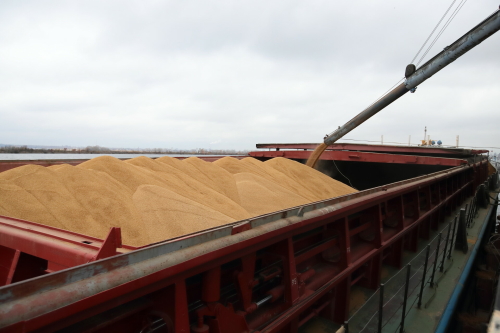 Зеленодольск получил 1 млрд рублей на строительство крупнейшего зернового хаба в России