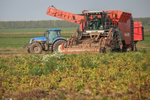 Правительство России направит еще 10 млрд рублей на льготные кредиты аграриям