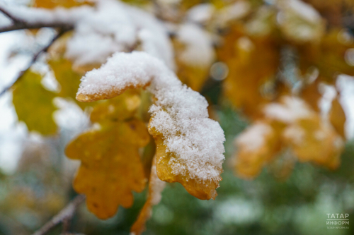 В Татарстане ожидаются снег, метель и до −6 градусов