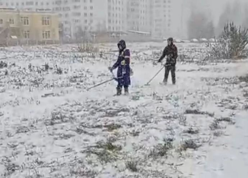 В Нижнекамске объяснили, почему косят траву после выпавшего снега
